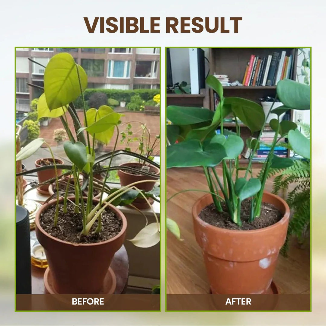 👩🏻‍🌾🌱Rejuvenate plants-Soil Pro Activator🔥