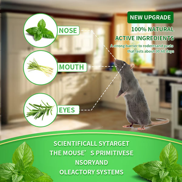 12- Pack Popular Natural Rodent Repellent Balls