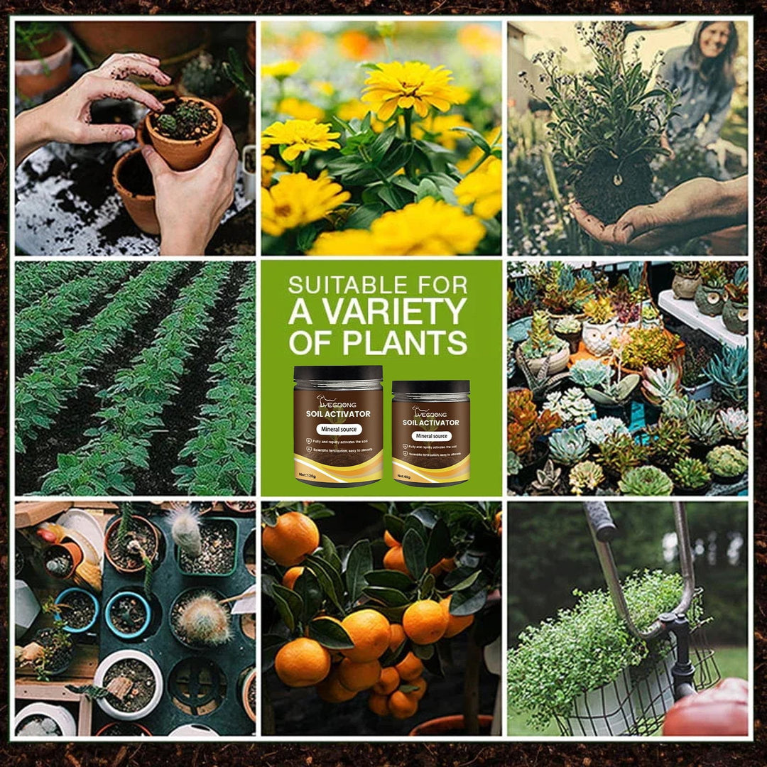 👩🏻‍🌾🌱Rejuvenate plants-Soil Pro Activator🔥