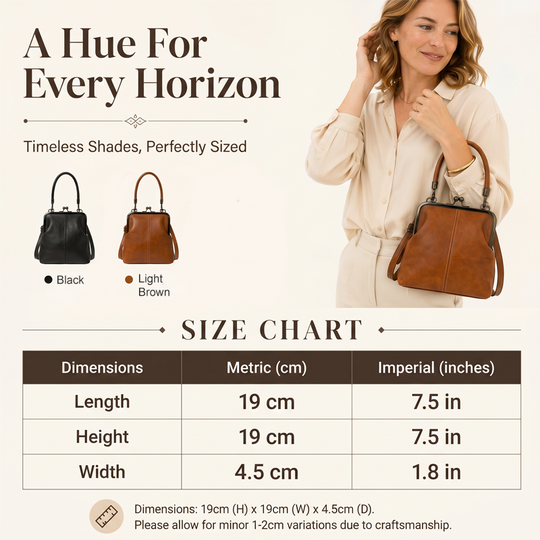 🔥HOT SALE!👝Vintage Kiss-Lock Bag – 2-in-1 Carry & Organized