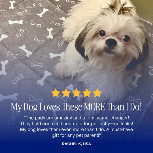 🐕PuppyPad: stylish, super absorbent & reusable for a cleaner home