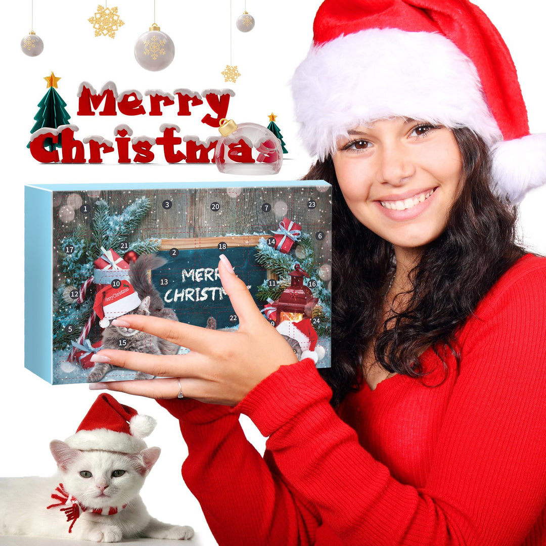 🎅Încântarea numărătorii inverse de Crăciun!🎅Calendar de Advent pentru pisici 2025, numărătoare inversă pe 24 de zile