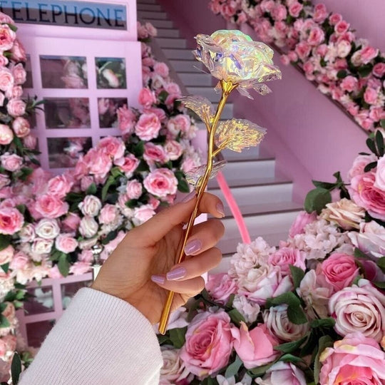 🌹Rose de cristal en édition limitée