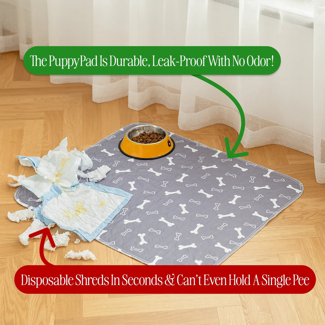🐕PuppyPad: stylish, super absorbent & reusable for a cleaner home