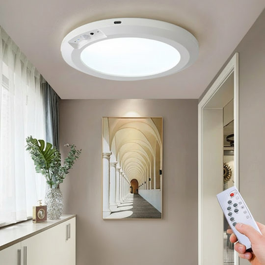 🌞Rechargeable Motion Sensor Ceiling Light 🏡