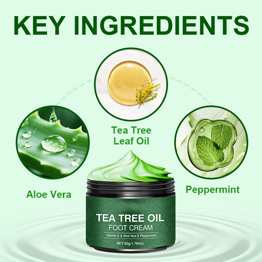 Soothing Aloe Vera & Tea Tree Foot Moisturizer