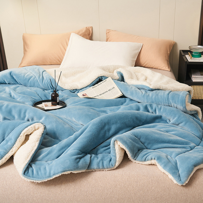 🎄🎅Winter gift🎁 - Thick Double Layer Plush Blanket