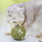 Büyük Kedi Nanesi Topları