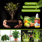 Plant Growth Promoters Supplements Energizers