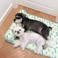 Summer Cat/Dog Ice Silk Bed